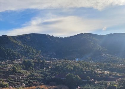 Preservando la riqueza natural y cultural de los olivos en montaña